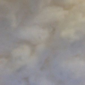 Meet your Posher, Elly